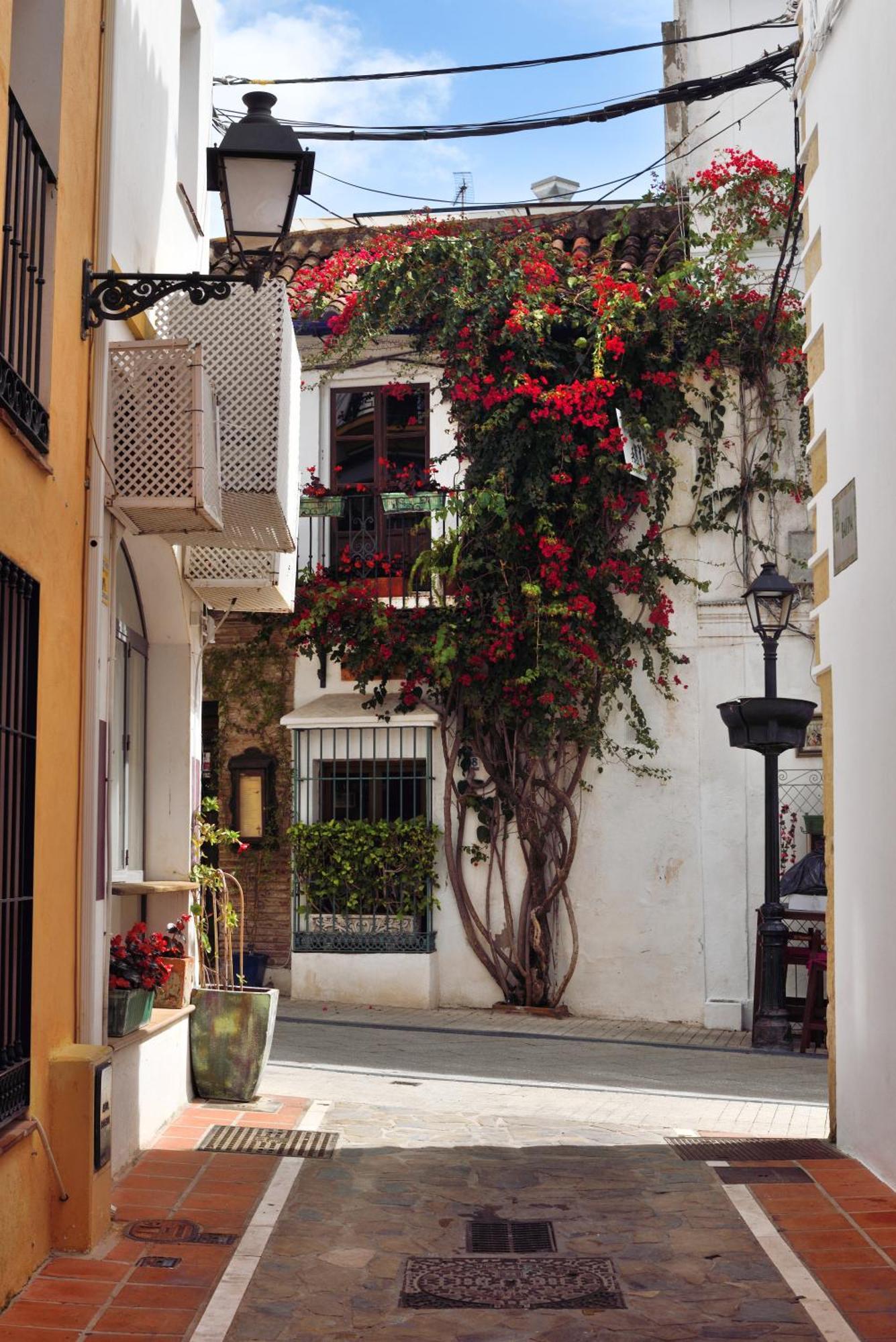 Guest house Aduar
