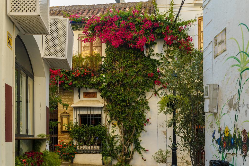 Aduar Guest house Marbella